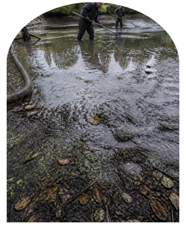 Очистка пруда в Красноярске от ила мусора и водорослей с вывозом